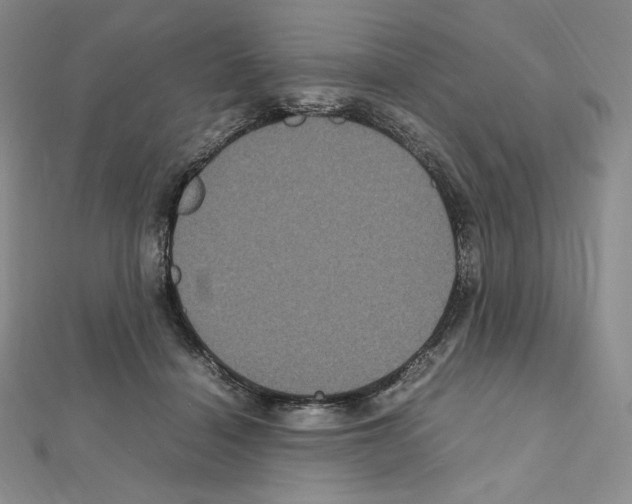 X0000111470460200908241345