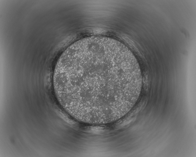 X0000111470462200908241345