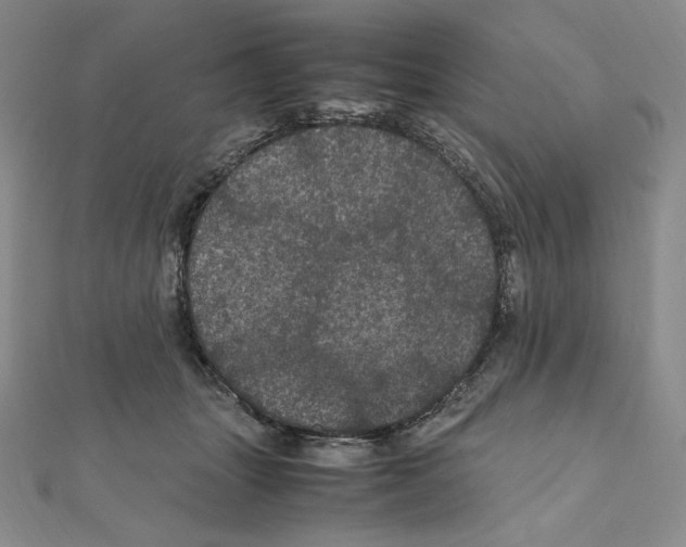 X0000111470463200908241345