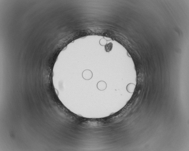 X0000111470464200908241345