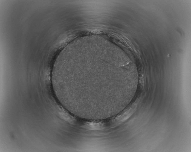 X0000111470466200908241345