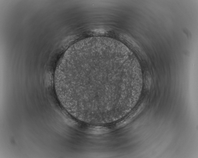 X0000111470467200908241345