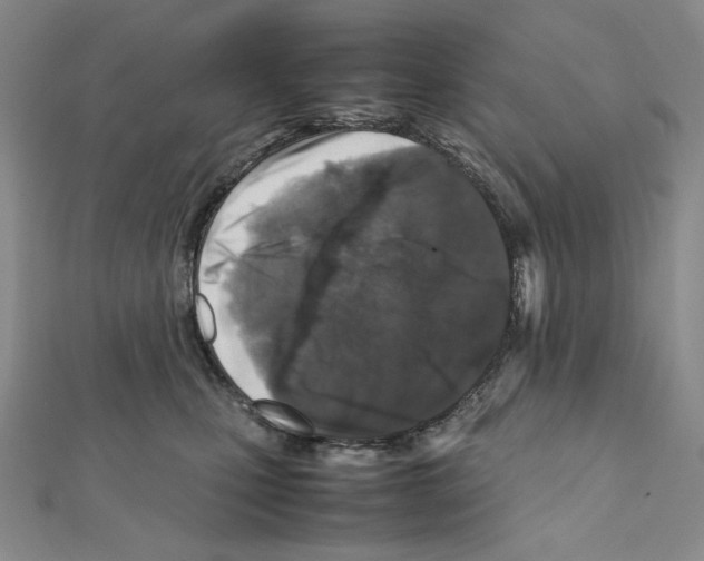 X0000111470471200908241345