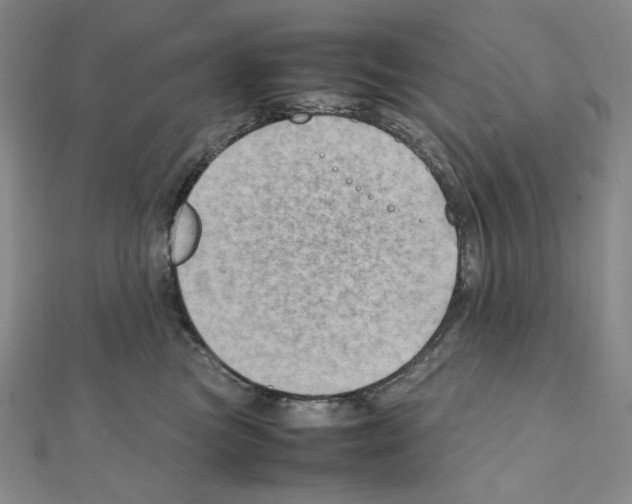 X0000111470473200908241345