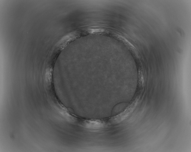 X0000111470475200908241345