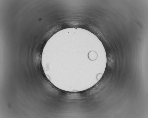 X0000111470476200908241345