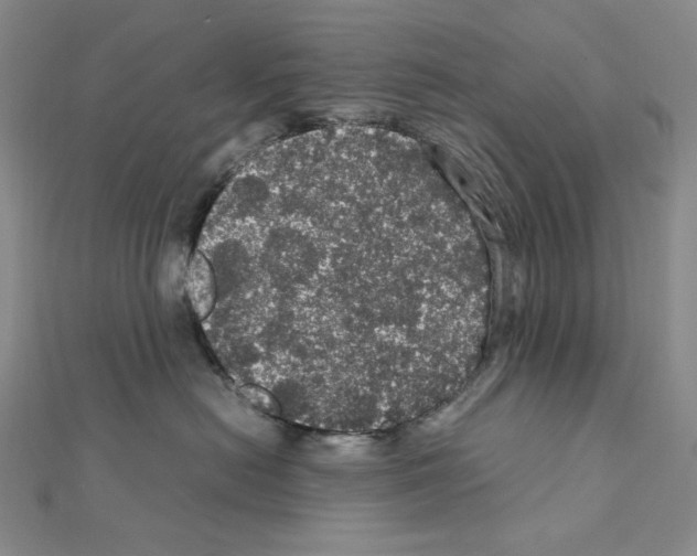 X0000111470478200908241346