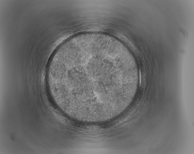 X0000111470483200908241345