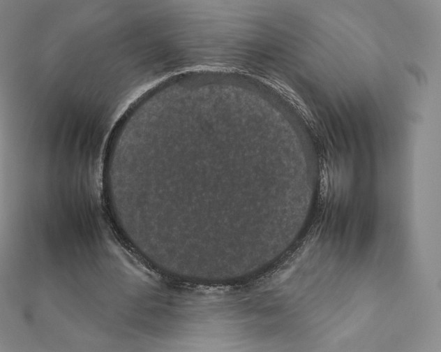 X0000111470484200908241345