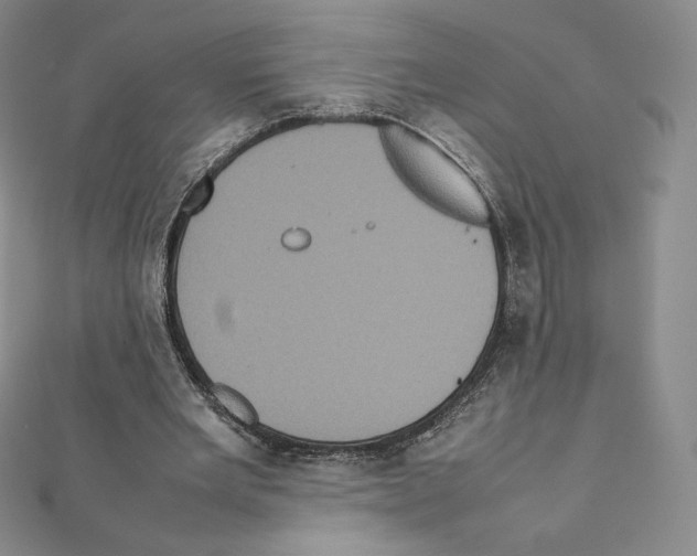 X0000111470485200908241345