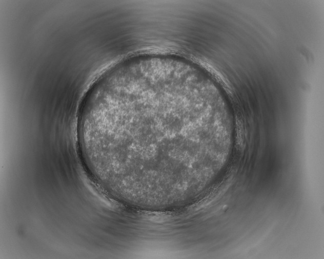 X0000111470486200908241345