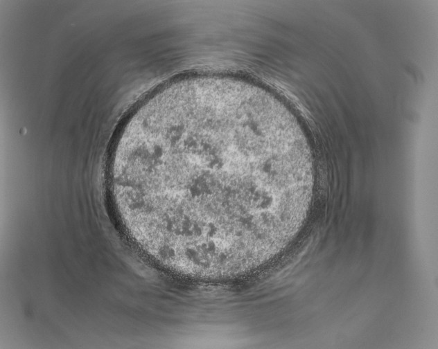 X0000111470487200908241345