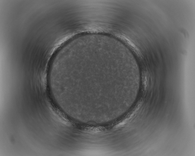 X0000111470488200908241345