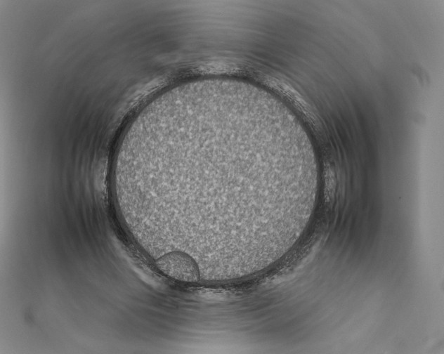 X0000111470490200908241345