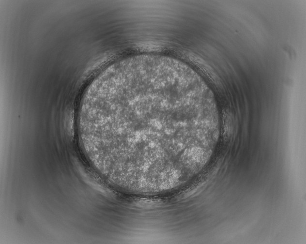 X0000111470494200908241345