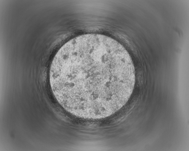 X0000111470495200908241345