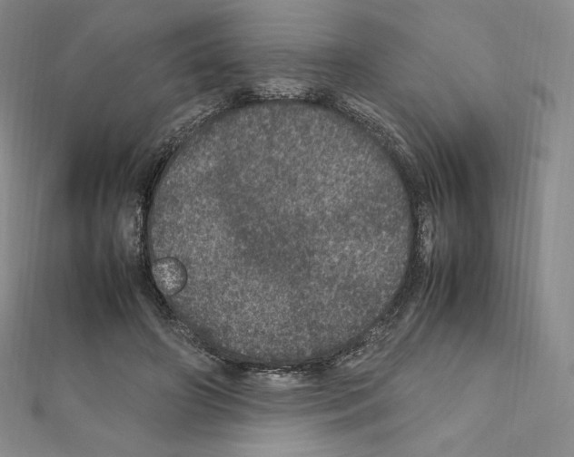 X0000111470498200908241345