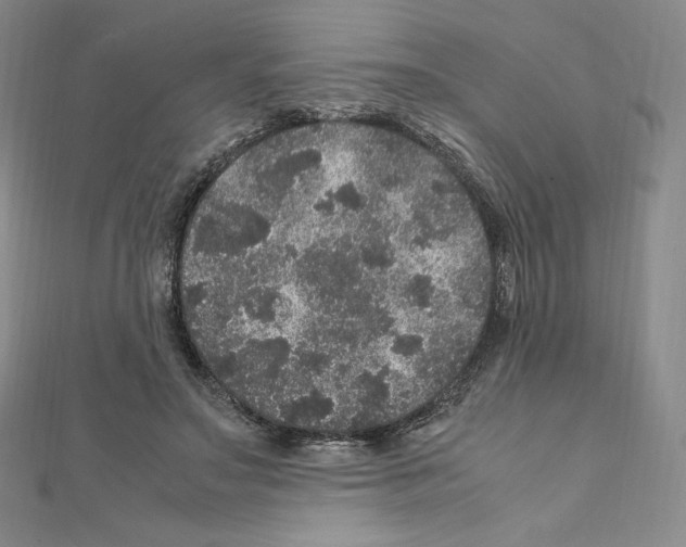 X0000111470499200908241345