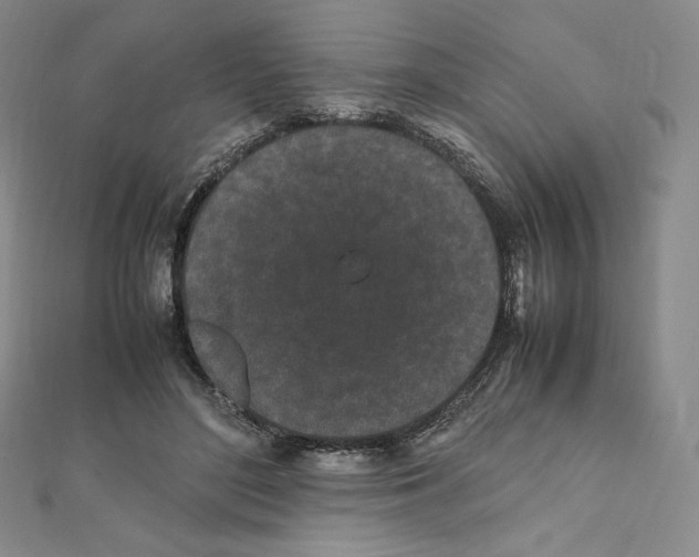 X0000111470500200908241345