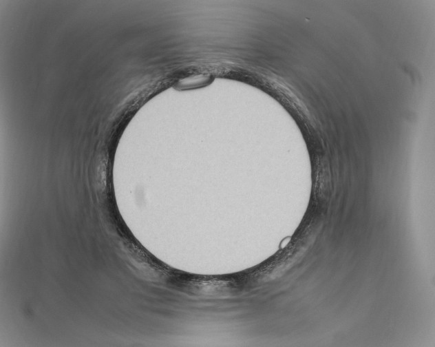 X0000111470501200908241345