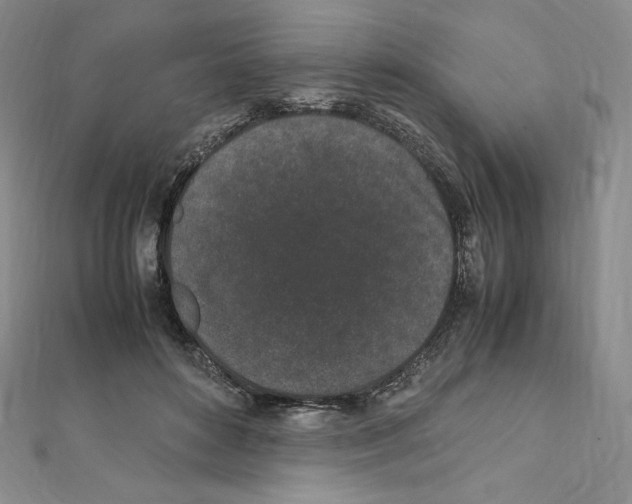 X0000111470504200908241345