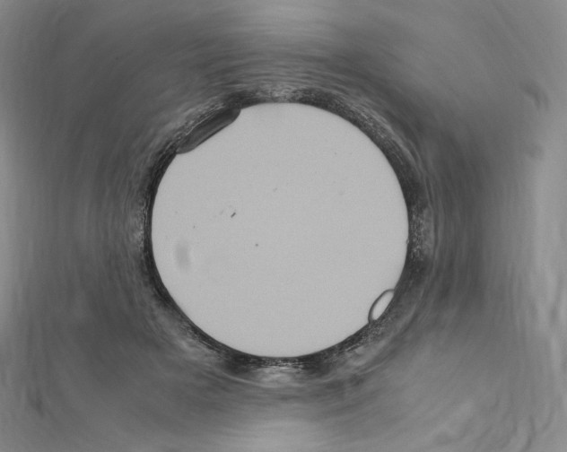 X0000111470505200908241345