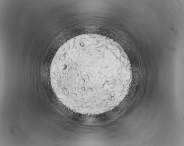 X0000111470507200908241345