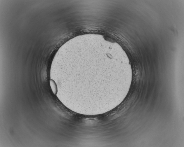 X0000111470508200908241345