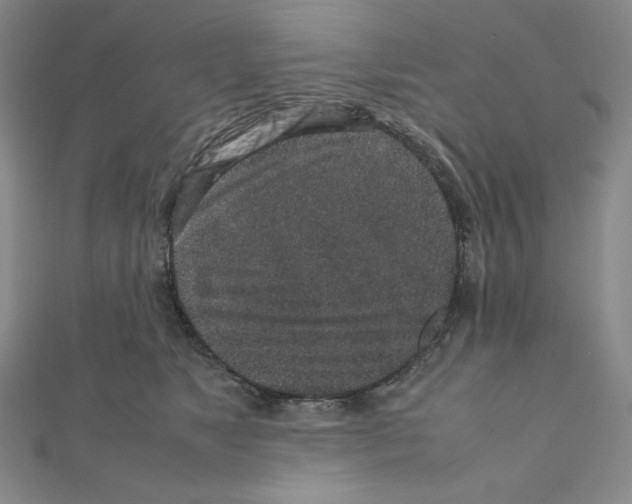 X0000111470517200908241344