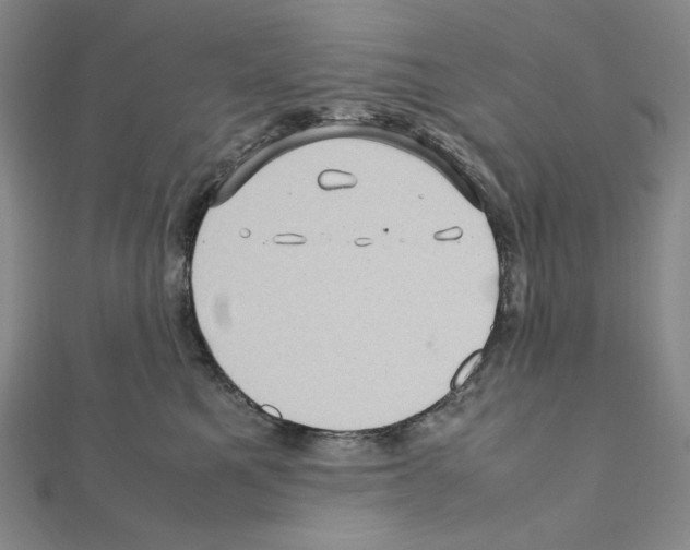 X0000111470521200908241344