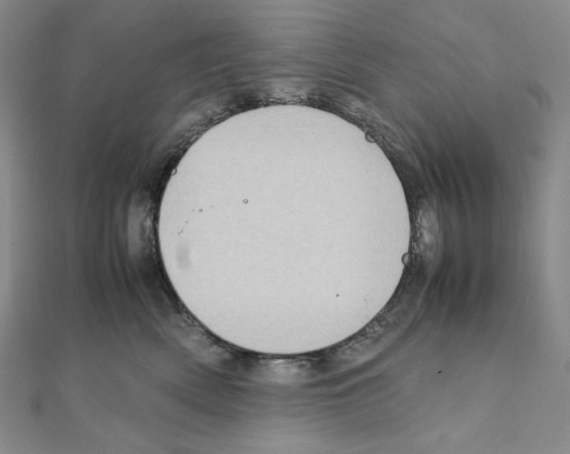 X0000111470522200908241344