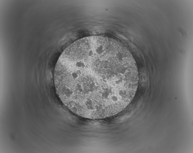 X0000111470523200908241344