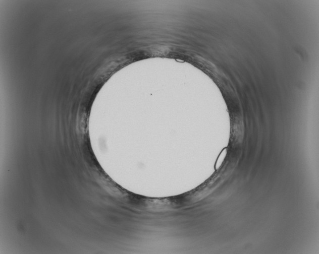 X0000111470525200908241344