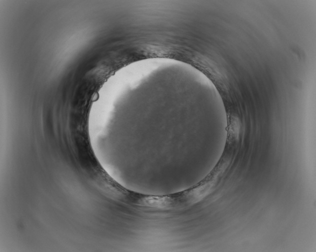 X0000111470526200908241344