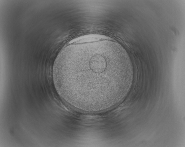 X0000111470528200908241344