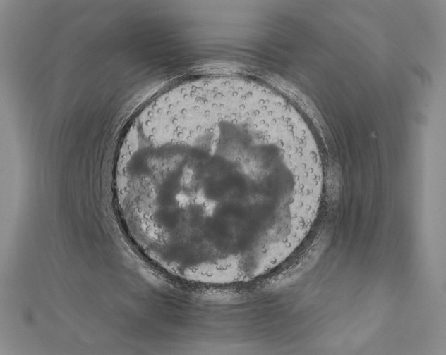 X0000111470529200908241344