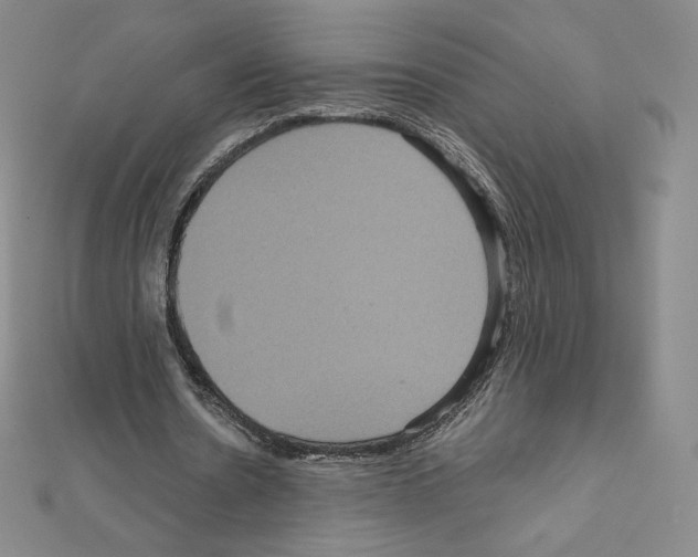 X0000111470530200908241344