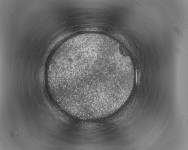 X0000111470531200908241344