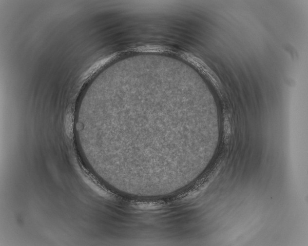 X0000111470533200908241344