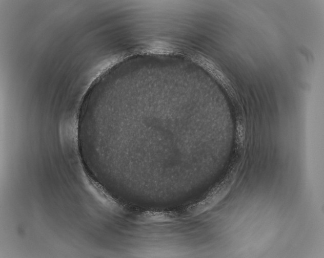 X0000111470534200908241344