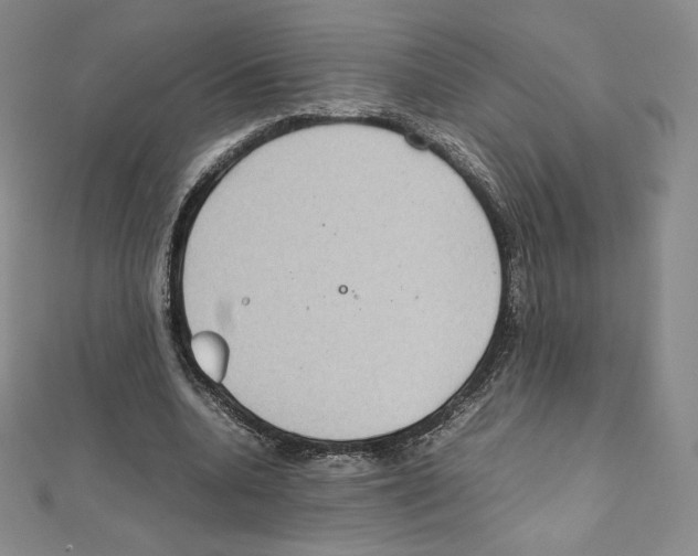 X0000111470536200908241344