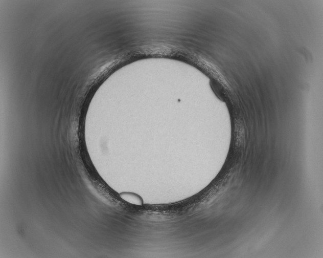 X0000111470538200908241344