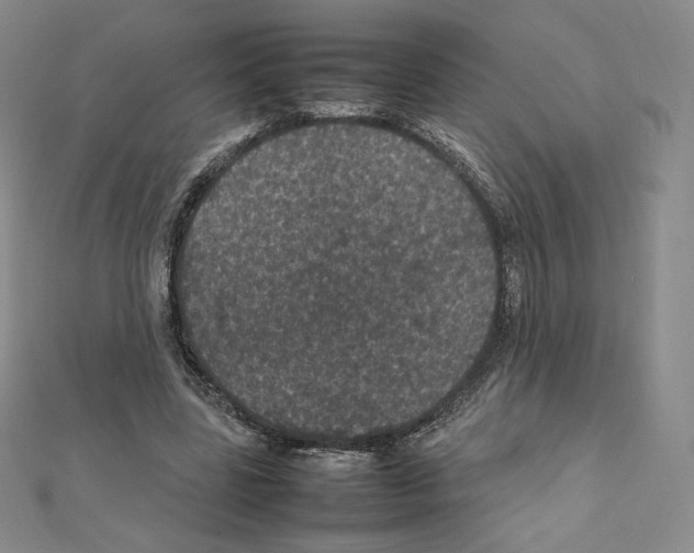 X0000111470539200908241344