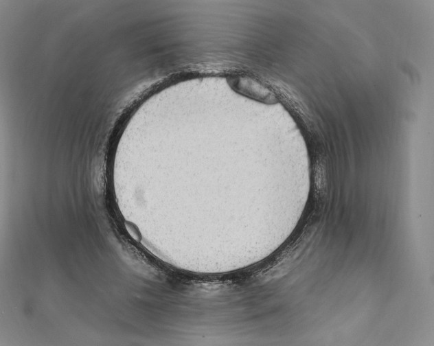 X0000111470540200908241344