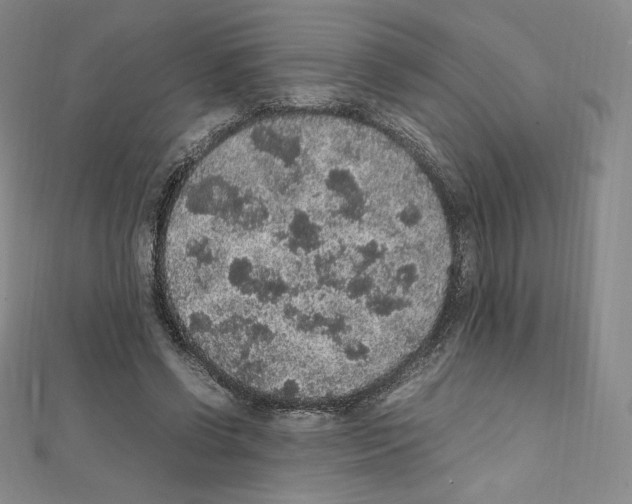 X0000111470542200908241344