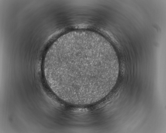 X0000111470543200908241344