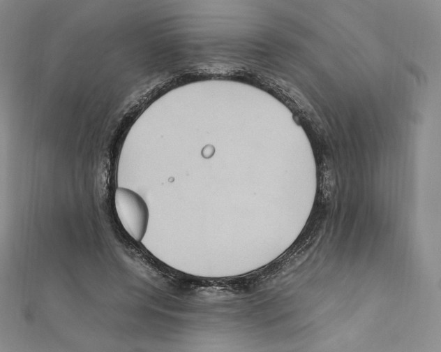 X0000111470544200908241344