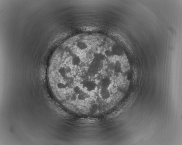 X0000111470545200908241344