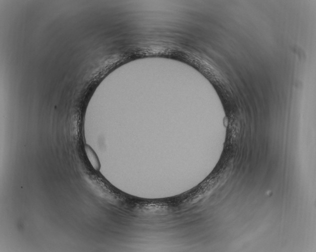 X0000111470546200908241344