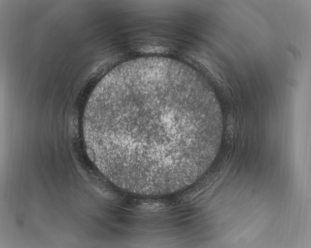 X0000111470547200908241344